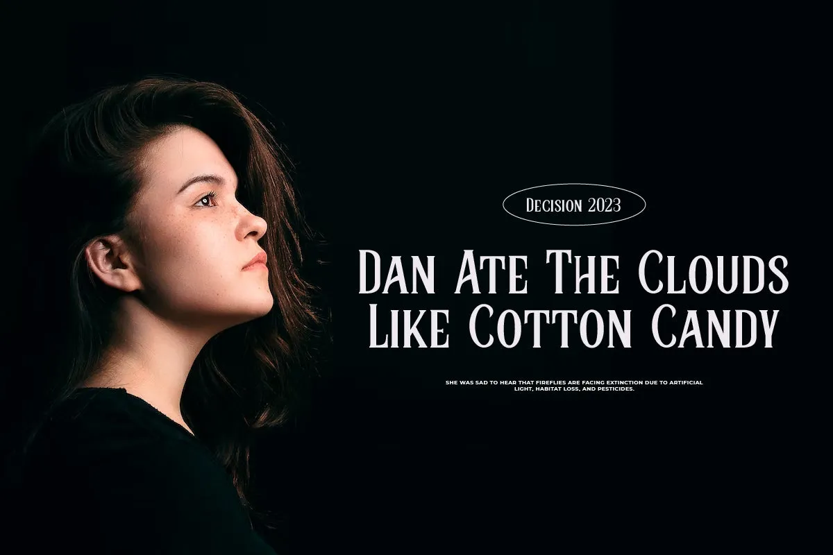 Bidon - Serif Vintage Font