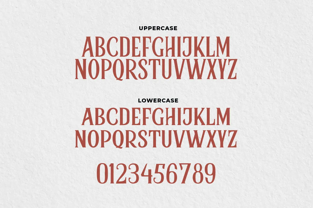Bidon - Serif Vintage Font