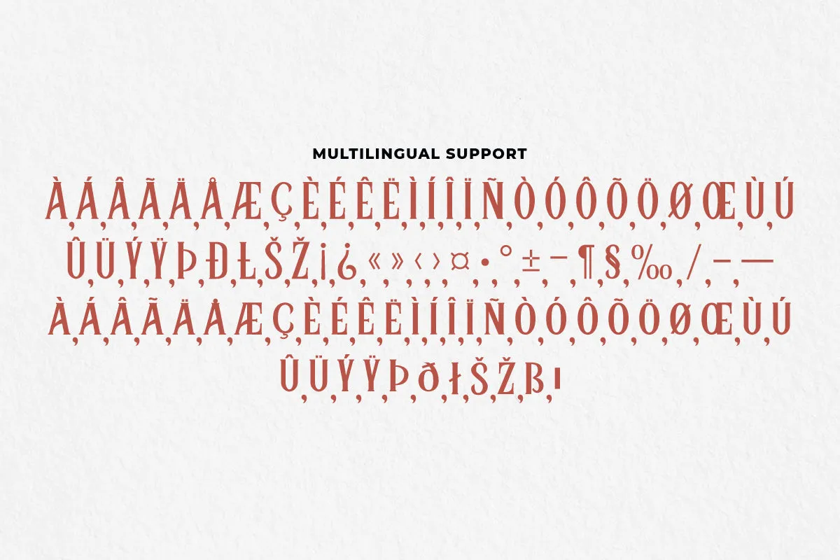 Bidon - Serif Vintage Font
