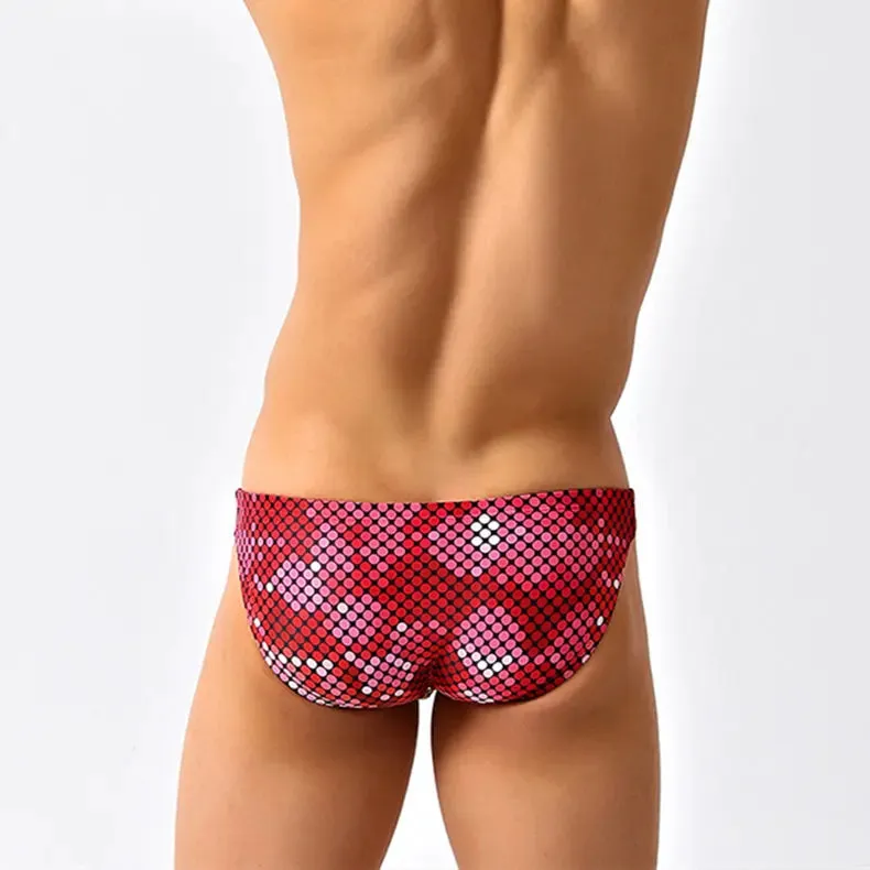 Blue Willow Low Cut Swim Brief