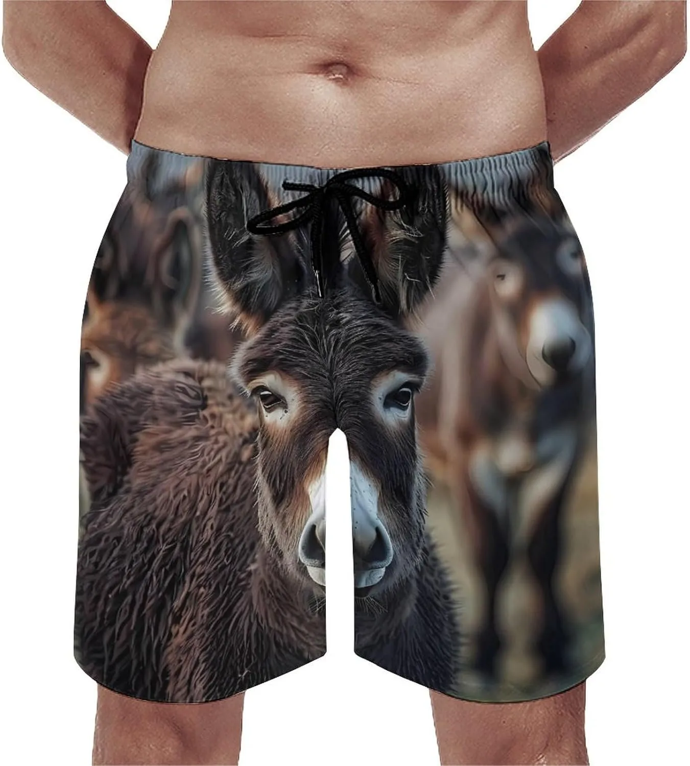 Donkey Men's Swim Trunks Quick Dry Board Shorts Breathable Summer Beach Shorts Bathing Suits