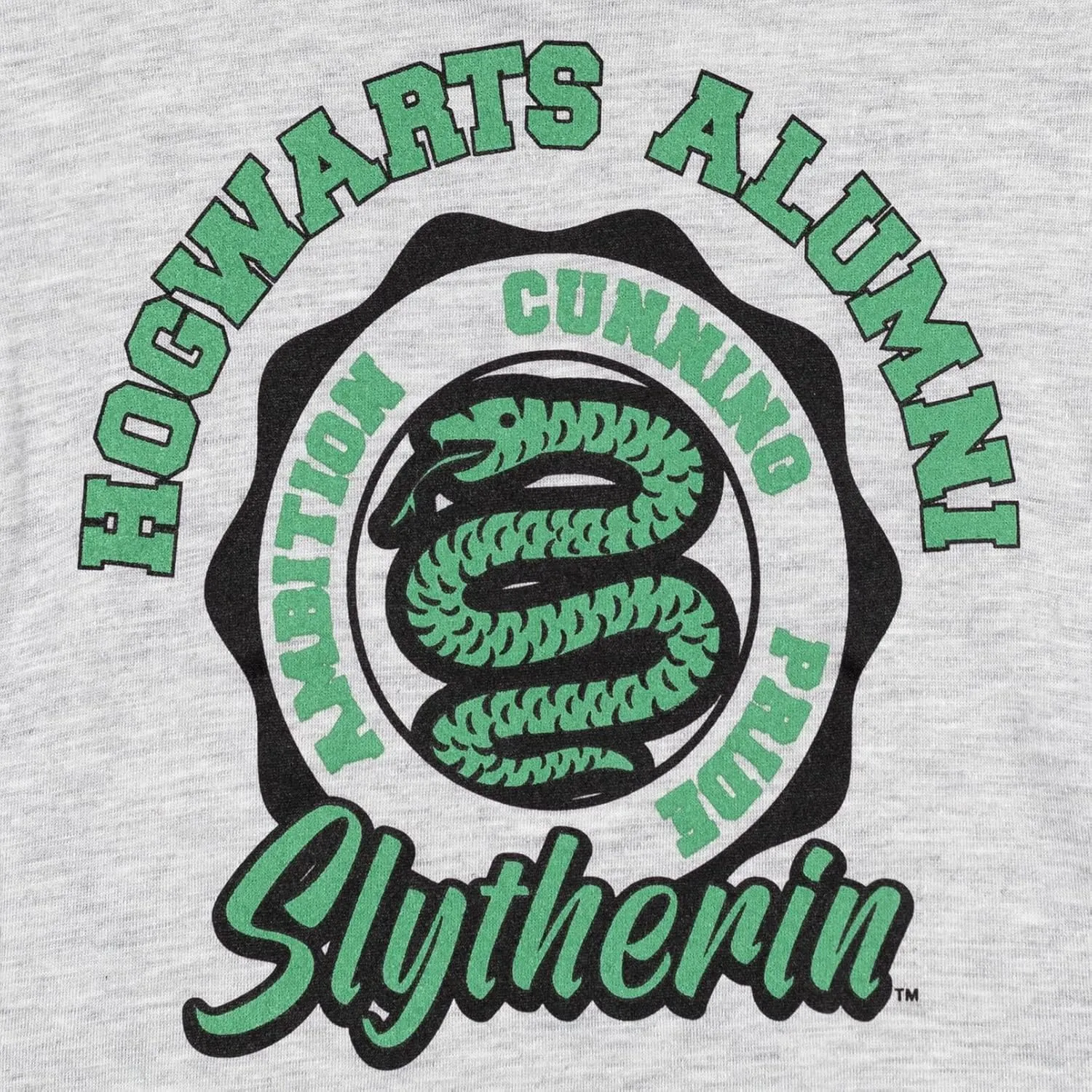 Harry Potter Gryffindor Slyttherin Ravenclaw Hufflepuff Fleece Pullover Hoodie Toddler to Big Kid