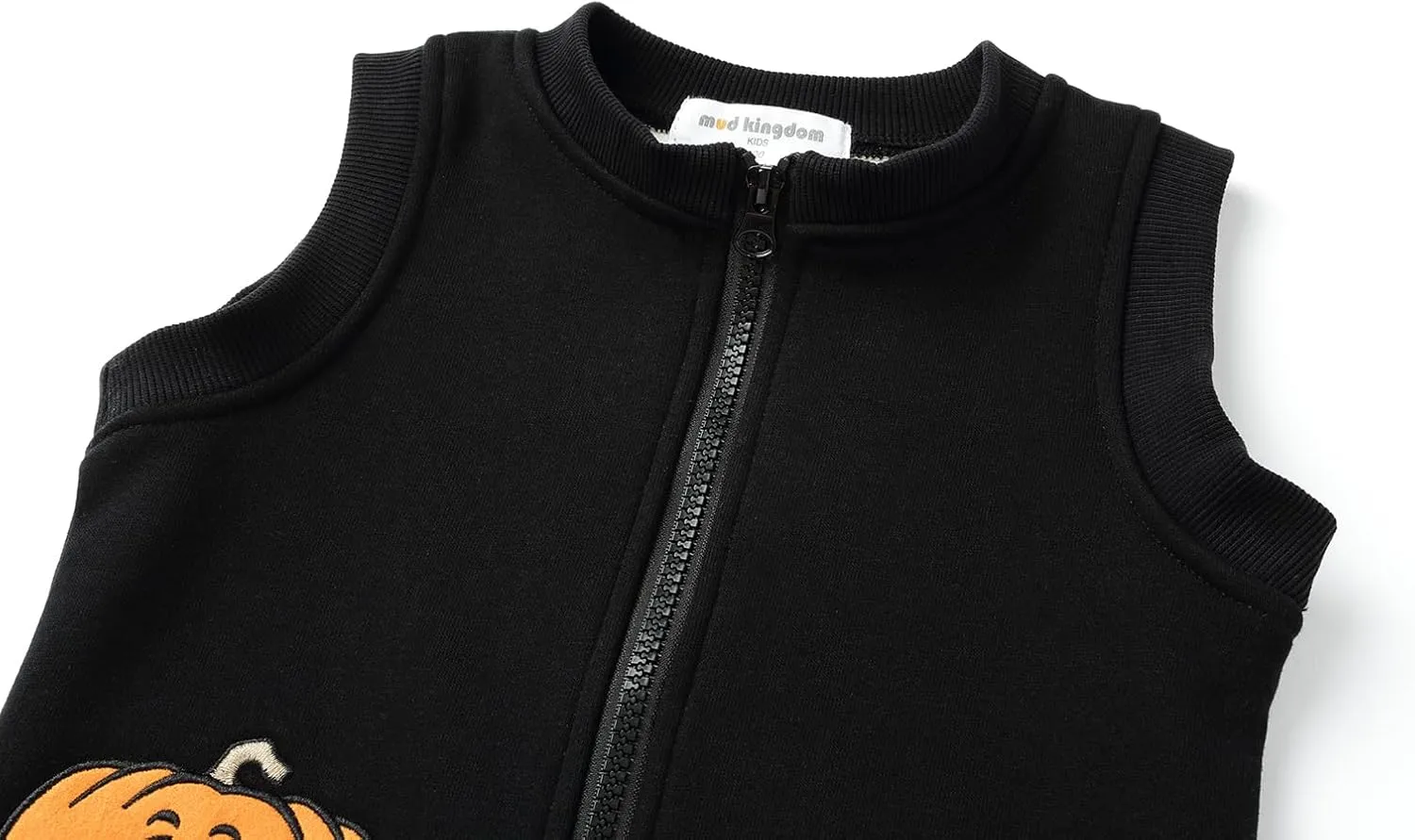 Mud Kingdom Little Boys Fleece Lined Vest Cute Cartoon Patterns Zipper Closure Sleeveless Jacket Thick Warm Outerwear